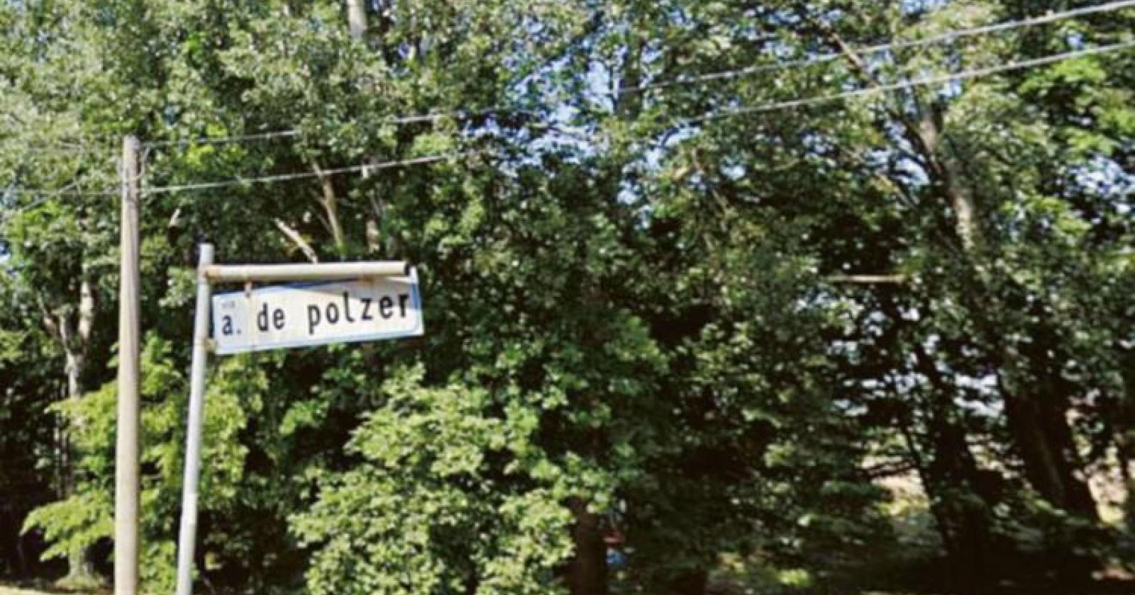 Uno scanner per schedare gli alberi