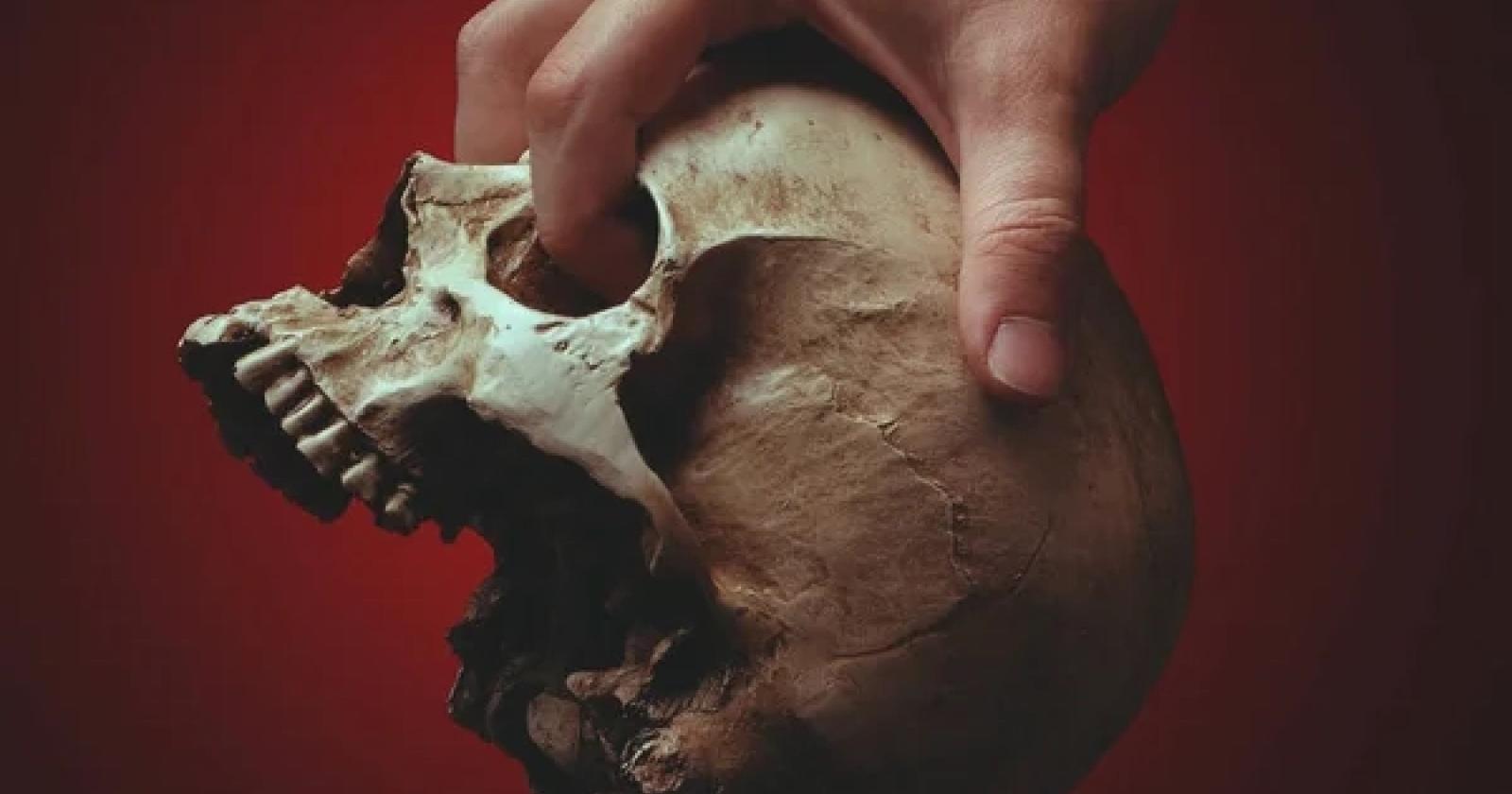 Rubano teschi al cimitero, per farci due lampade