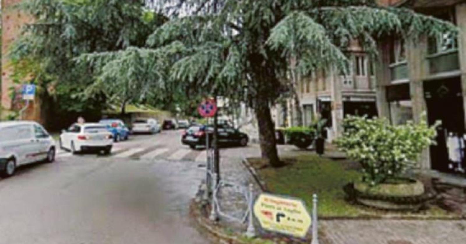 “Serve un incontro pubblico prima di abbattere il cedro”