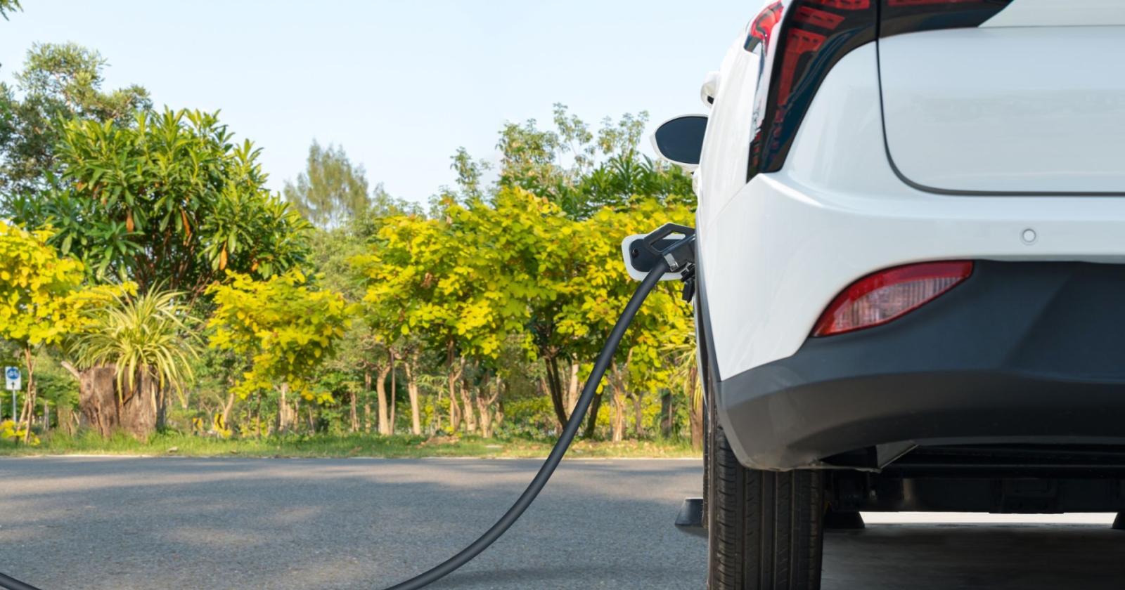 Entro due anni a Rovigo un'auto su tre sarà elettrica