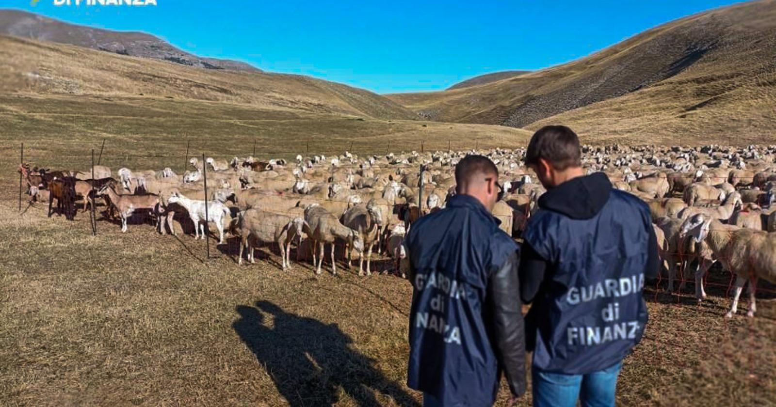 Colossale truffa sui fondi europei