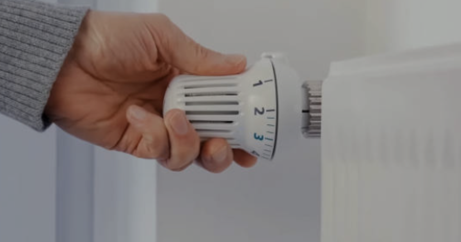 Accensione dei termosifoni