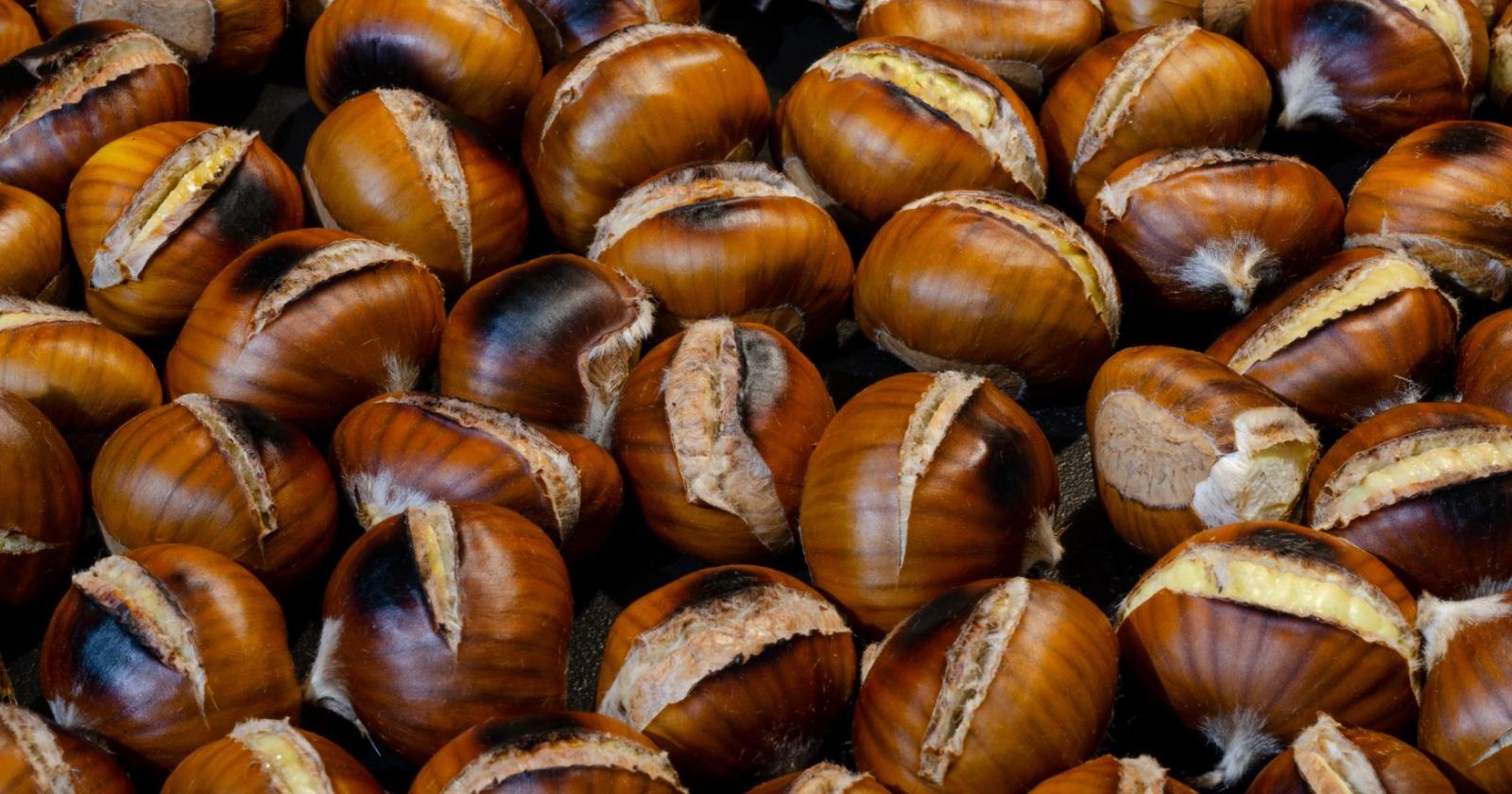 E' tempo di castagne, il dictat regionale