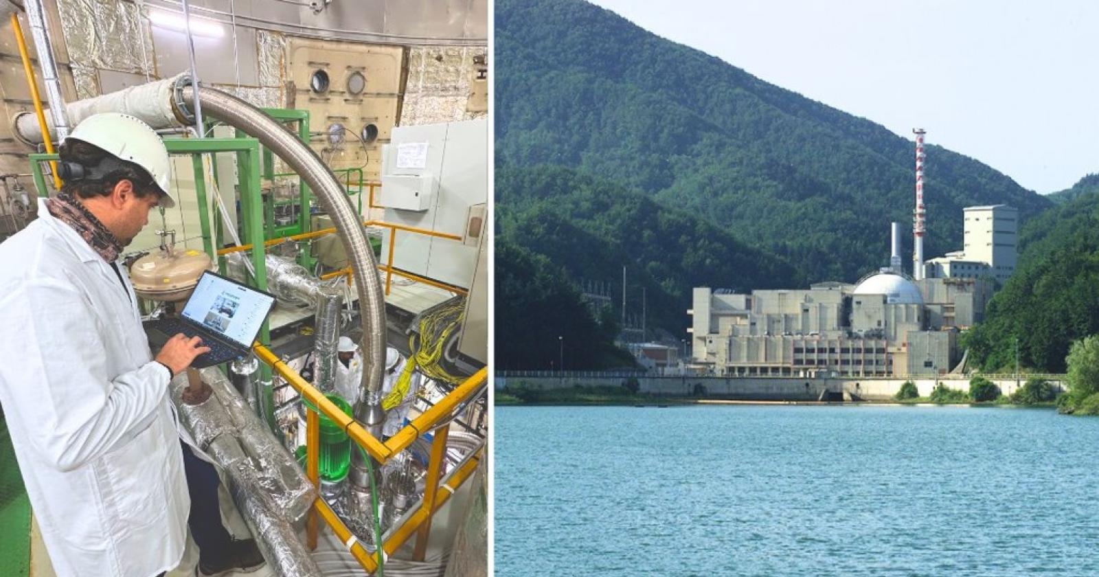 L'energia nucleare per crescere
