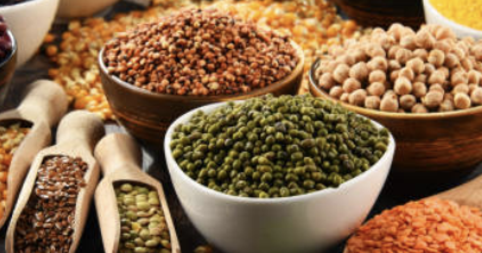 La rivoluzione delle proteine alternative 
