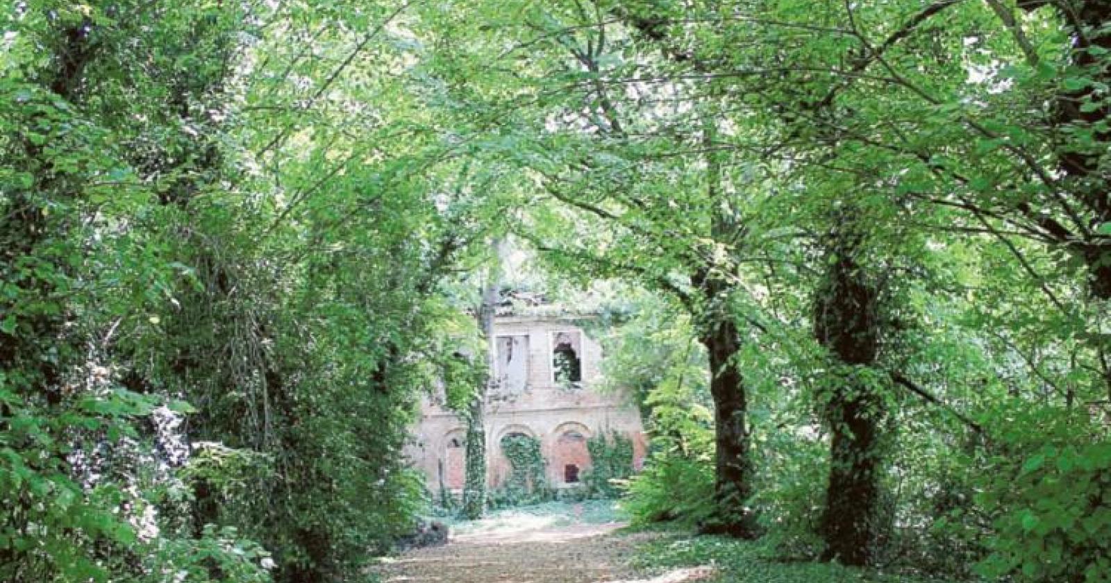 Parco Langer, dubbi sul progetto