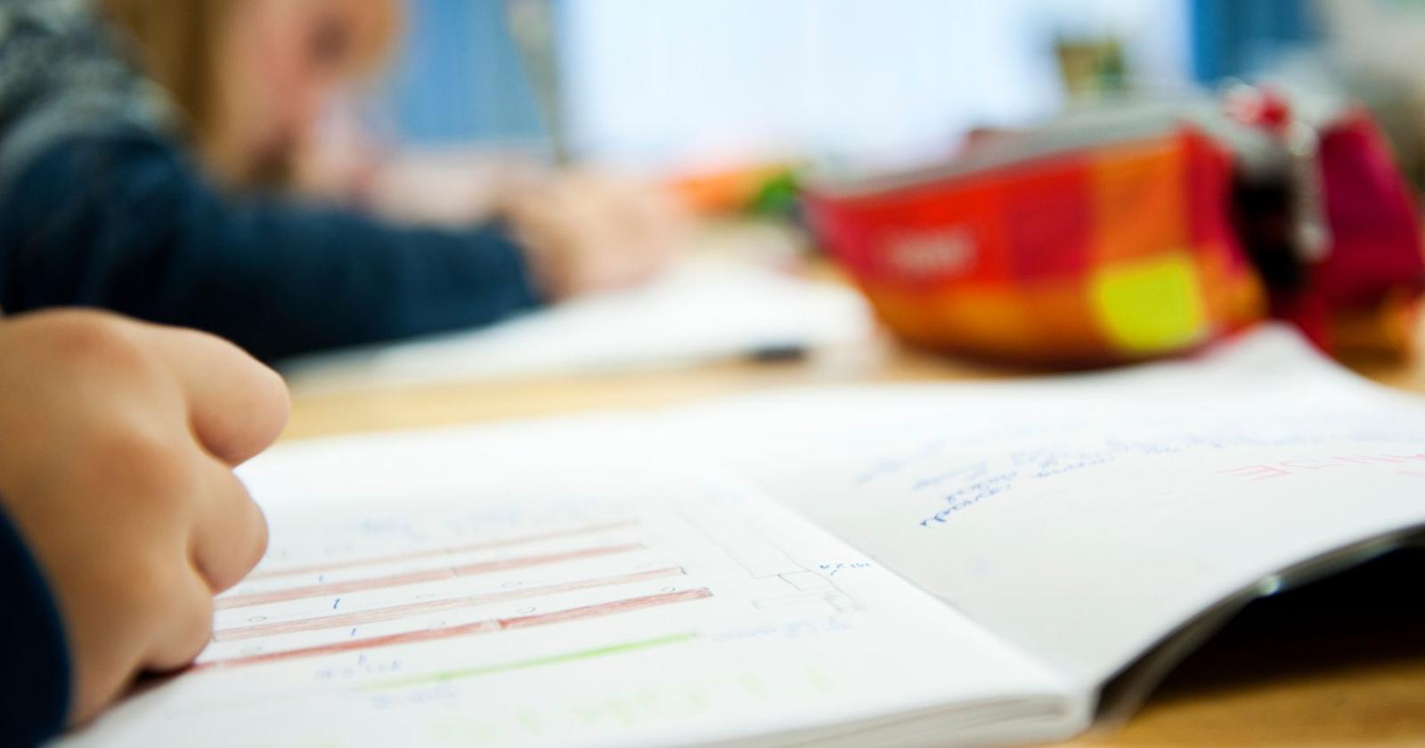 Nega l’accesso alla psicologa di un alunno autistico