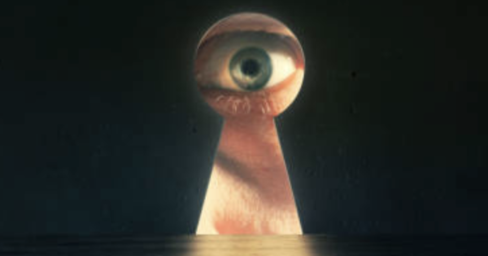 Spie in casa: 12 webcam negli appartamenti in affitto