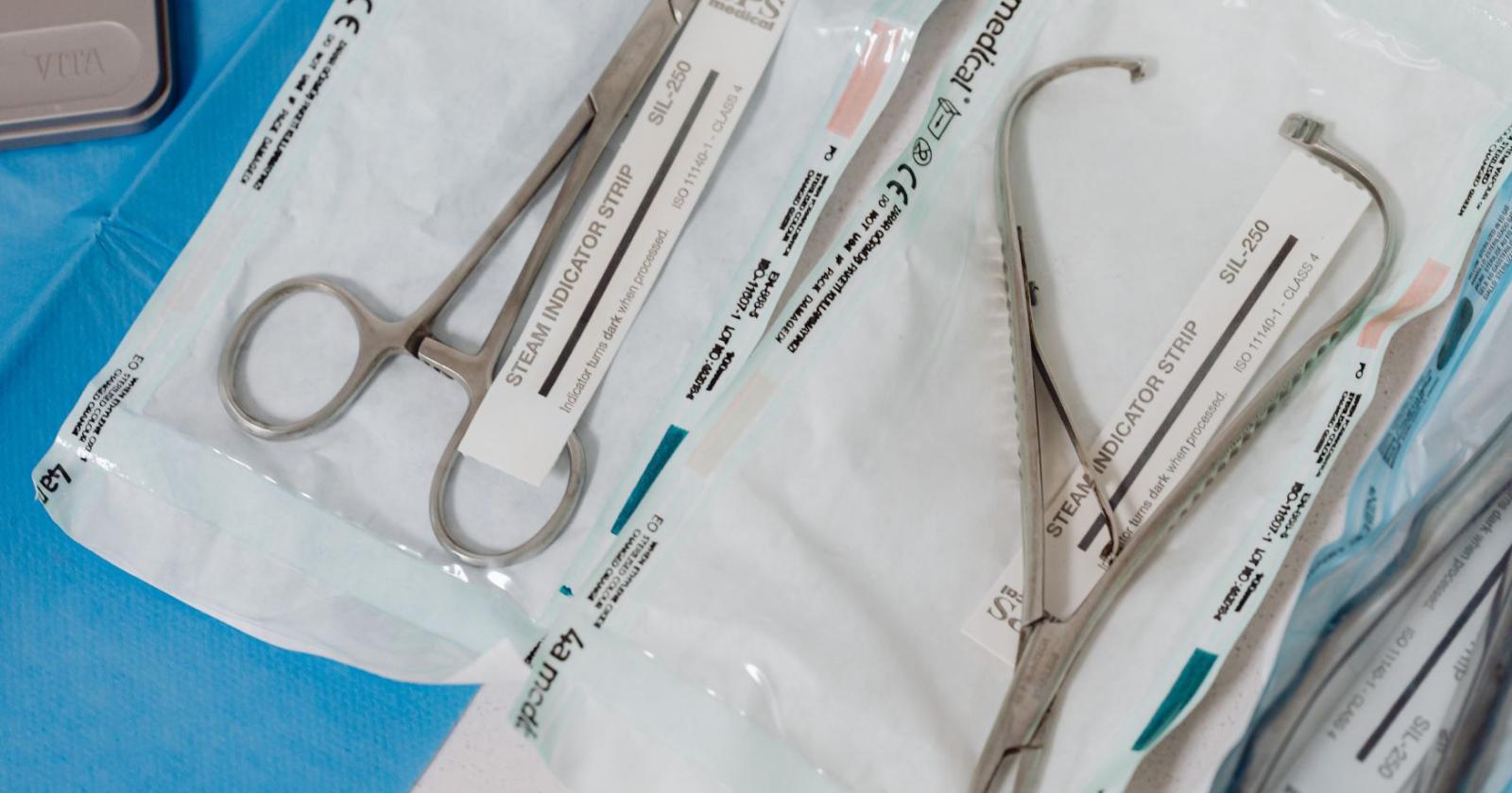 Rene di maiale: svolta storica nel trapianto 