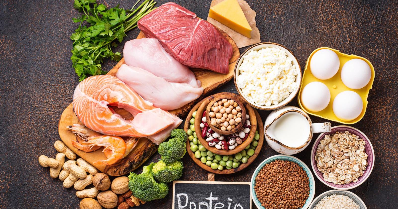 Proteine spiegata senza miti