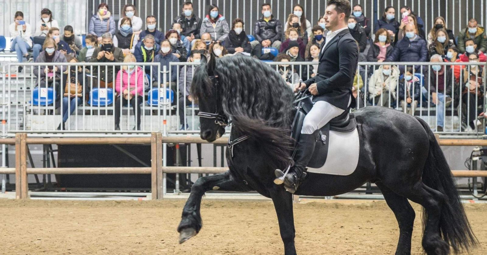 Fieracavalli 2025: al via la 127esima edizione a Verona