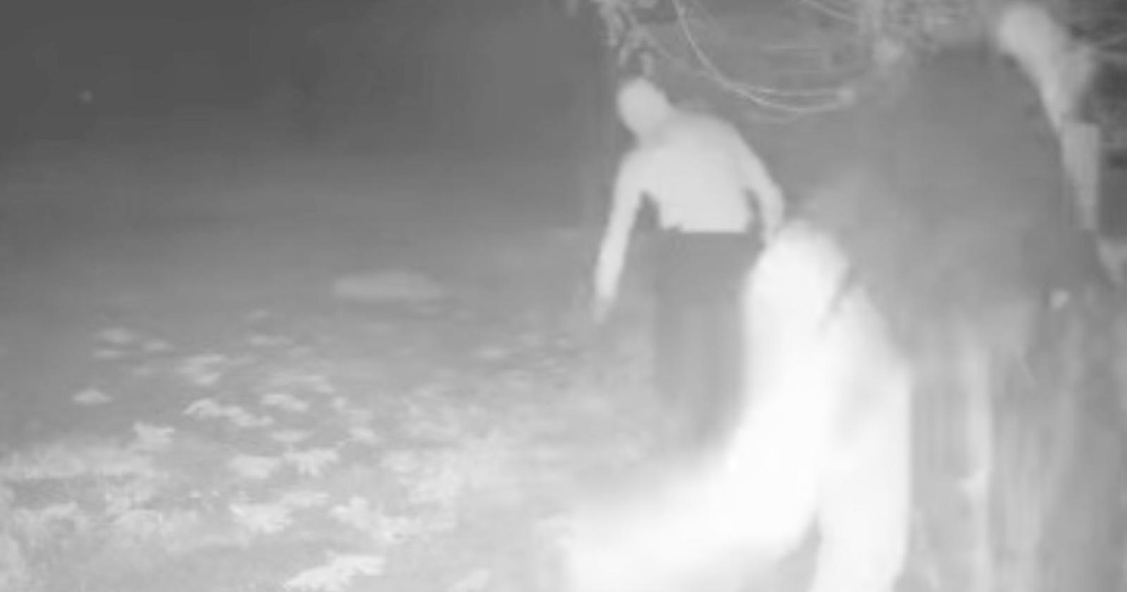 Scavalcano le recinzioni ed entrano in casa