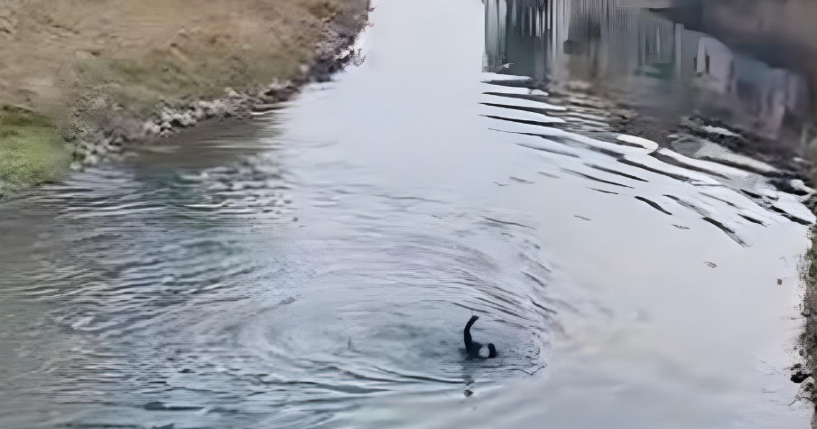 Si lancia nel fiume con la droga per scappare