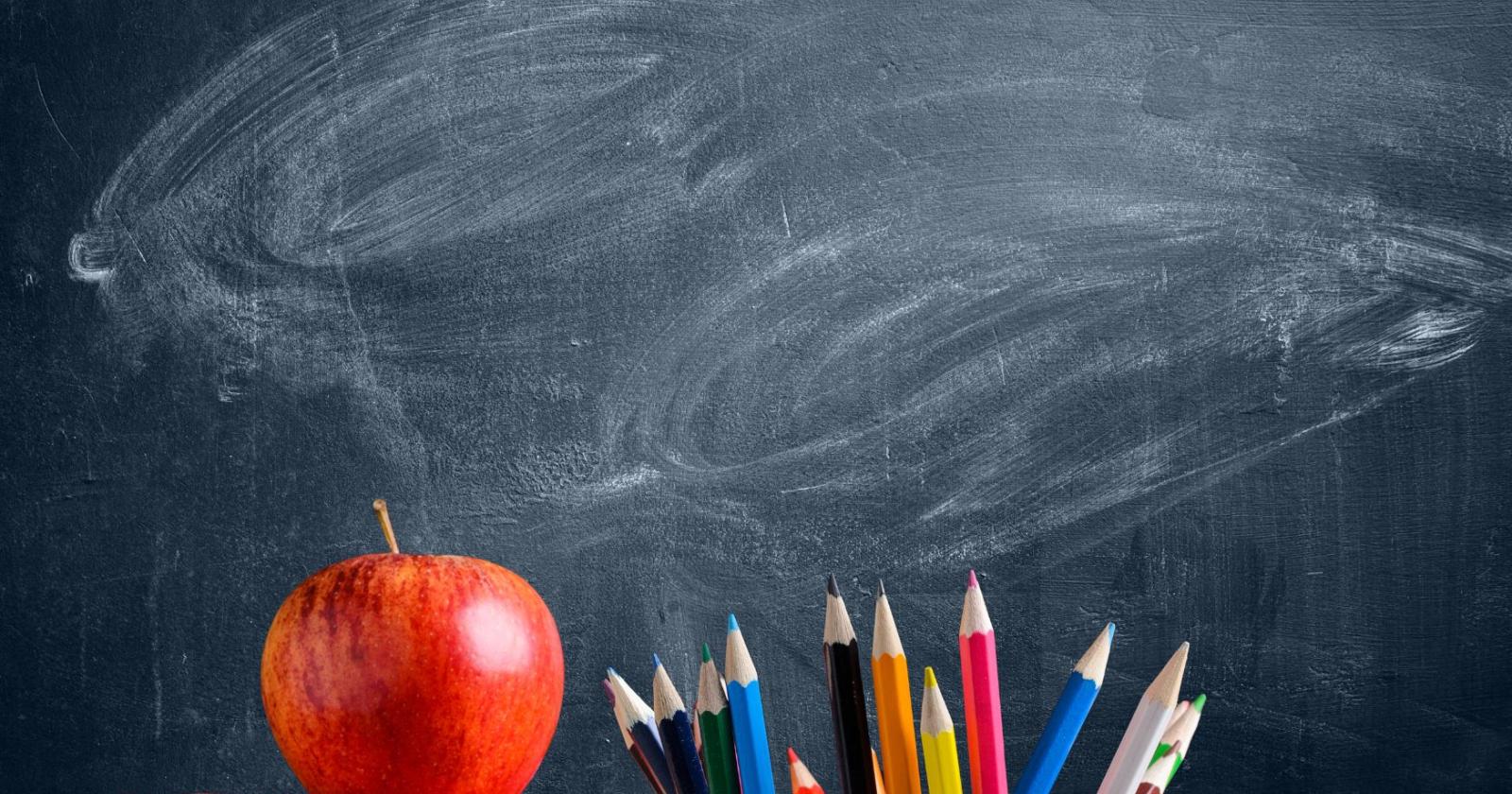 Maestra condannata per il diario lanciato