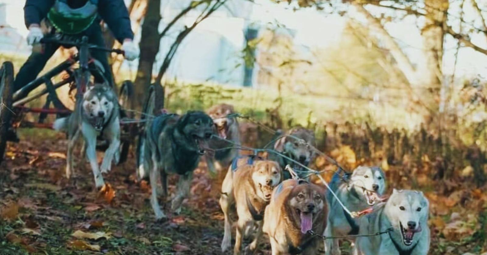 La Marca si prepara all’assalto