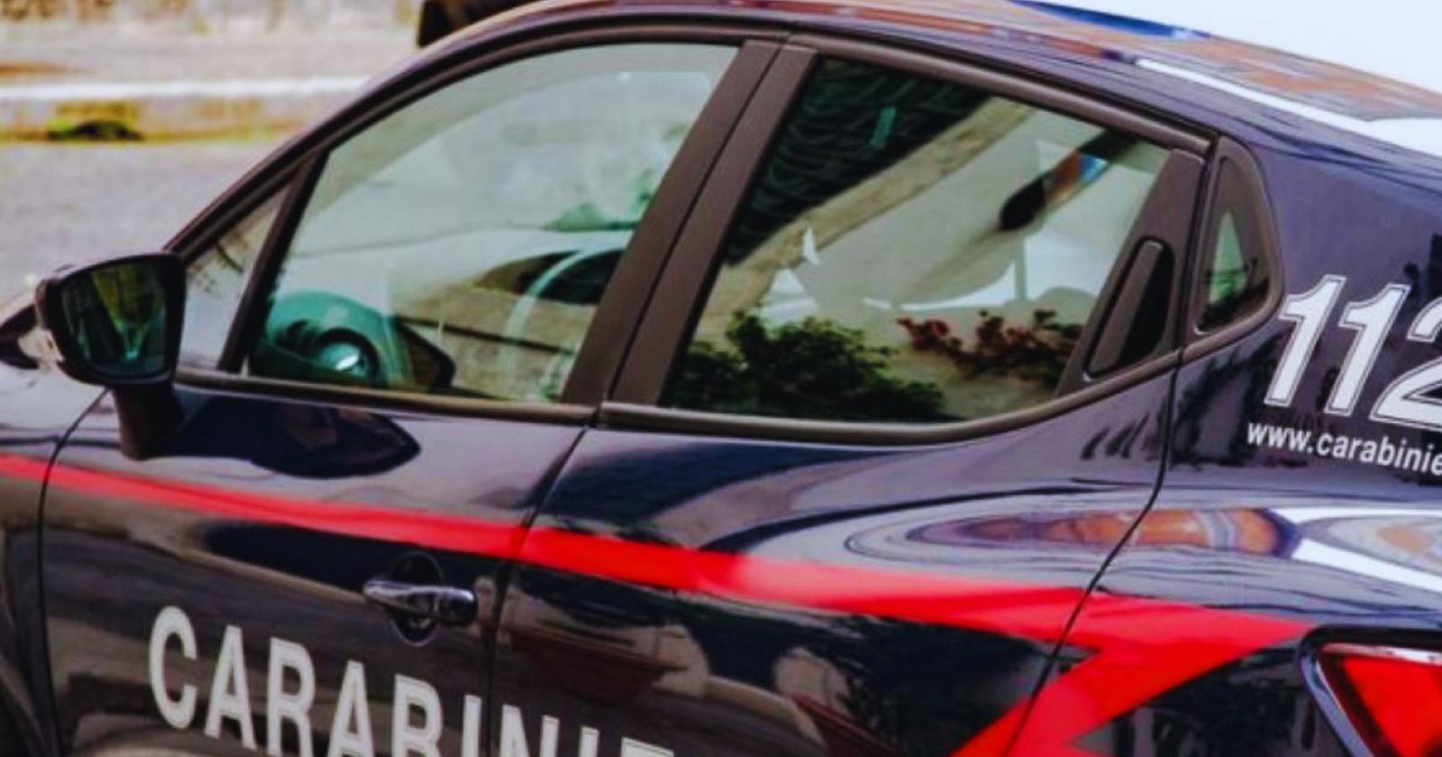 Tentato rapimento:  madre la salva 