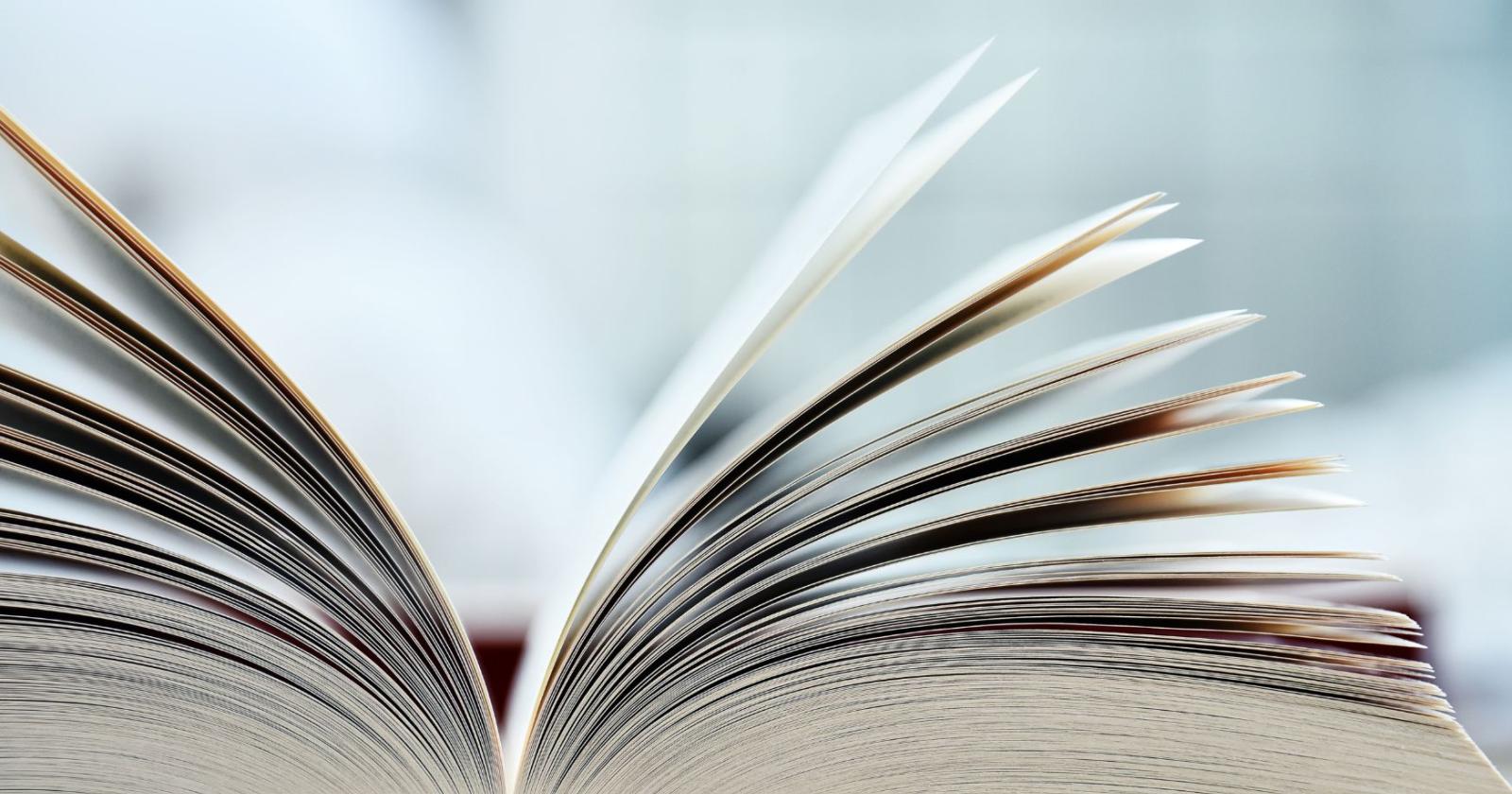 Rage bait, la scelta di Oxford