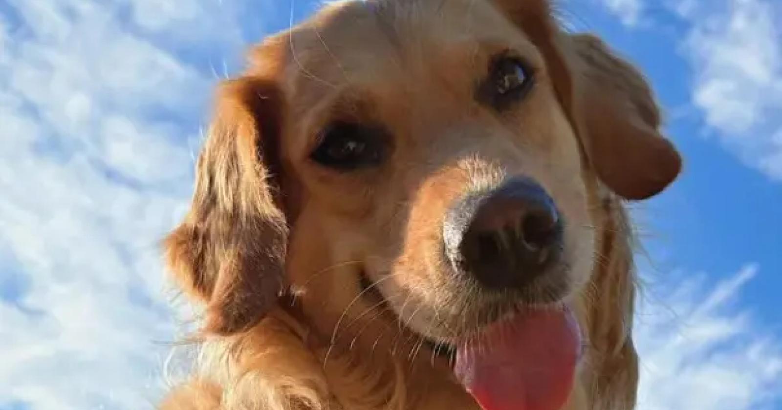 Raccolta fondi per pagarle la chemio