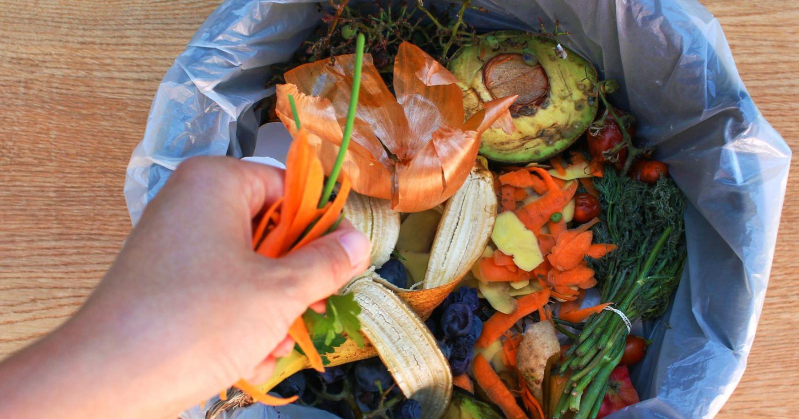 Sprechi alimentari, da dove ripartire