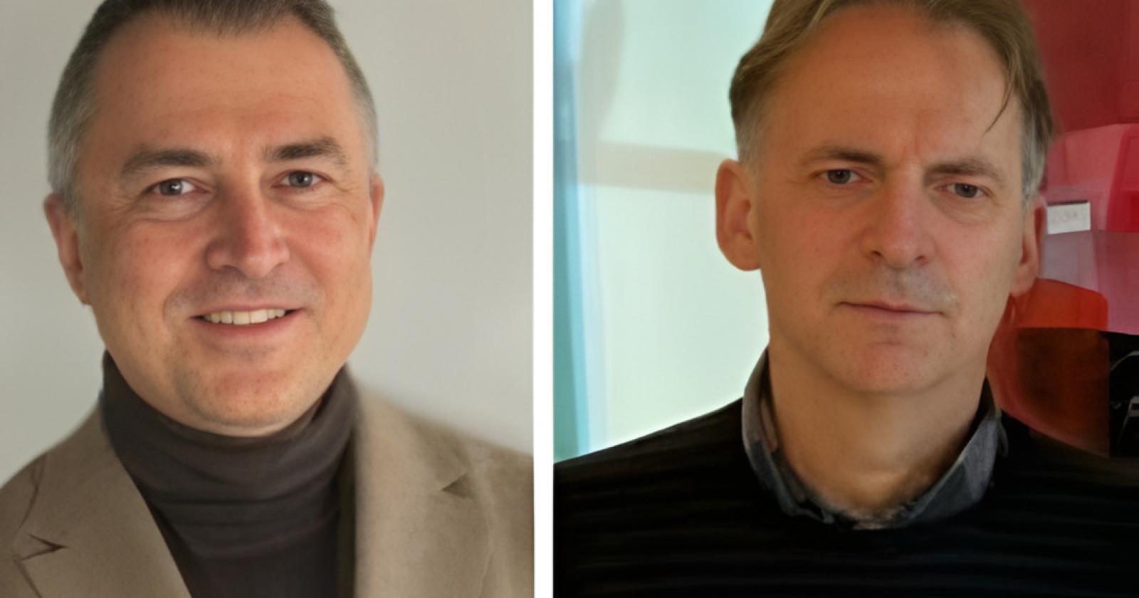 Precipitano e muoiono mentre cercano il vischio