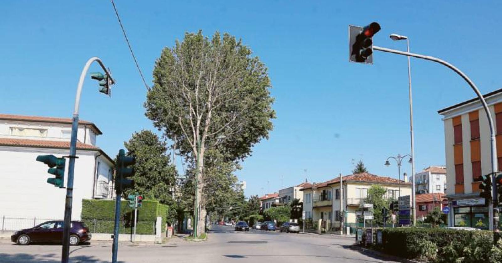 L&rsquo;anno dell&rsquo;addio al semaforo eterno