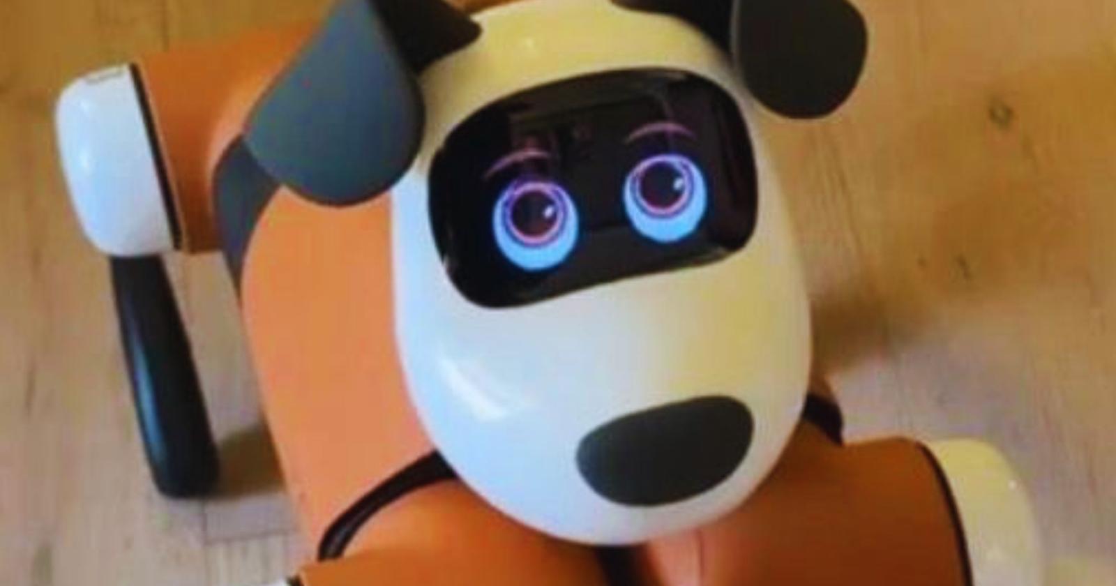 Ecco Alpha, il cane Robot 