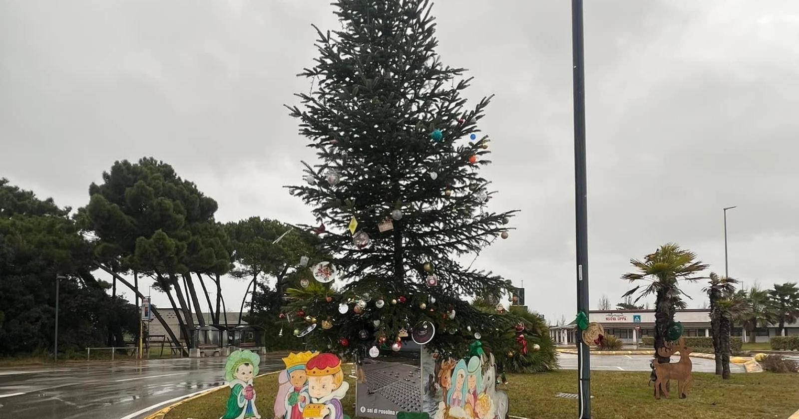 Vento e pioggia, a rischio l'albero del turista