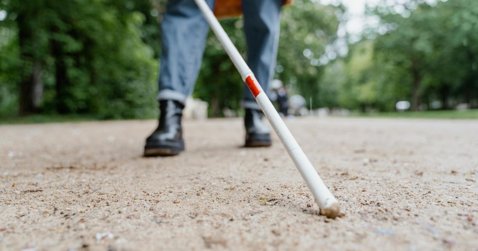 Un microchip per tornare a vedere