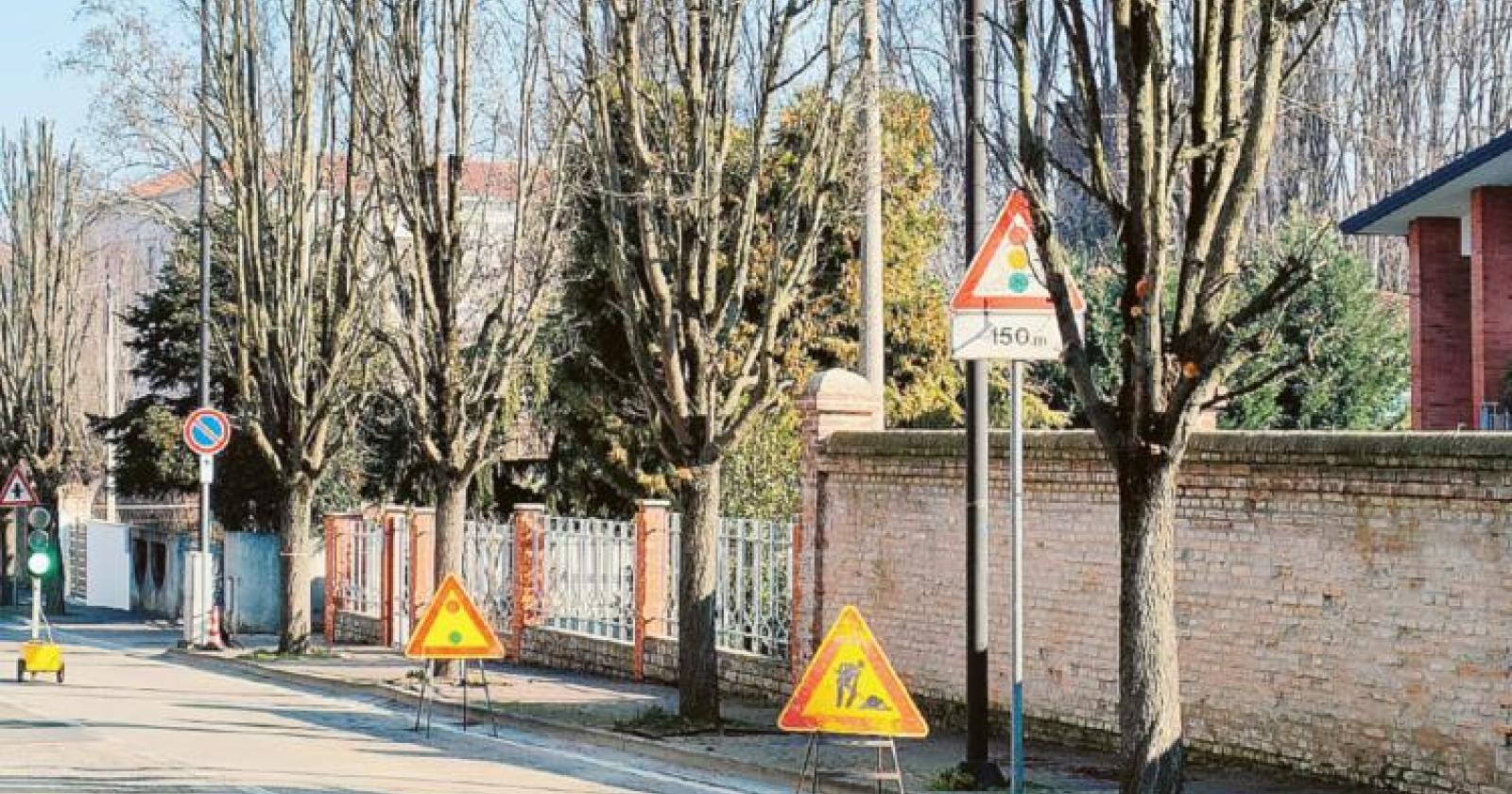 Addio a cinque platani ammalati