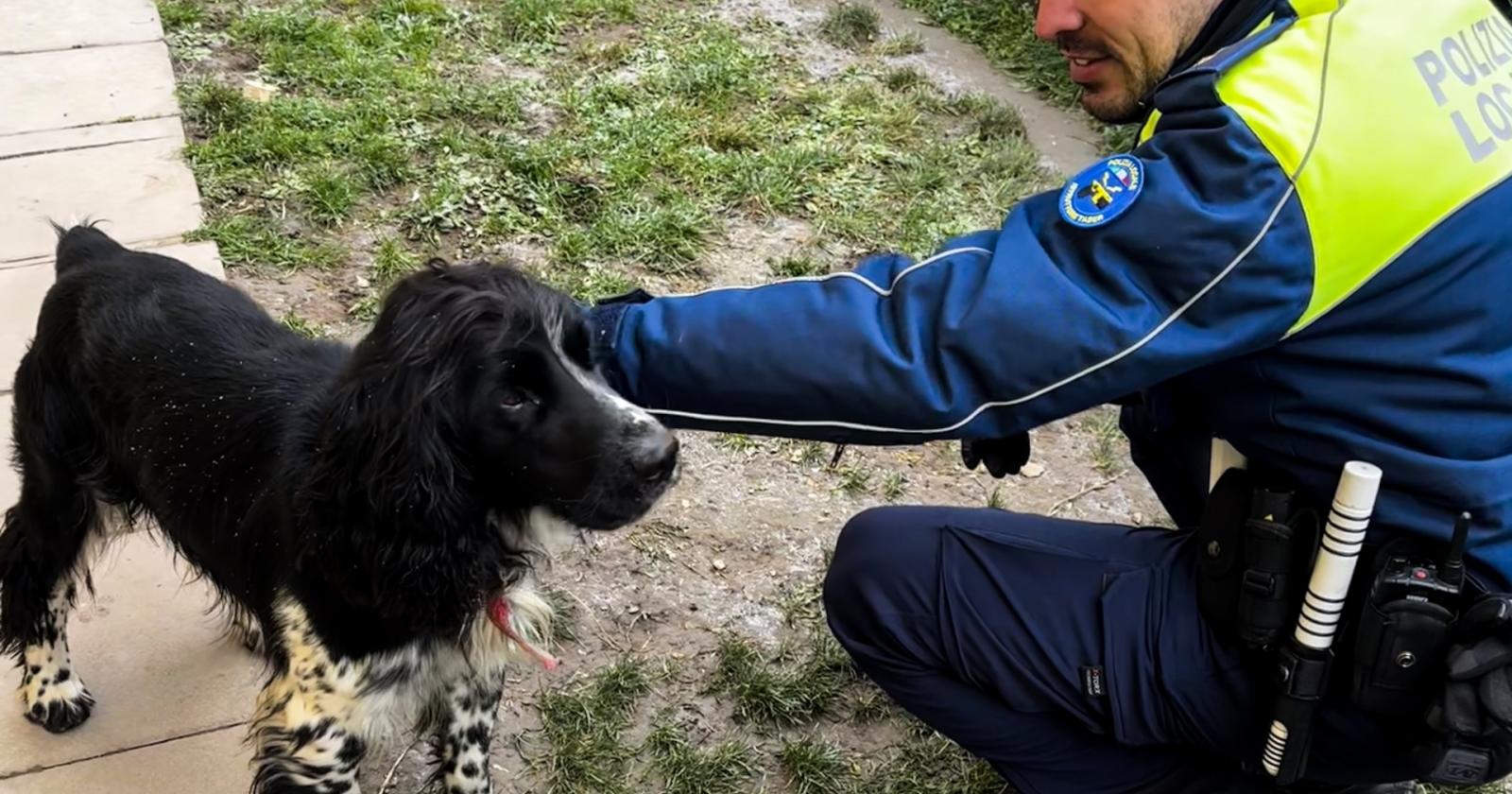 Intervento con lieto fine per la polizia locale