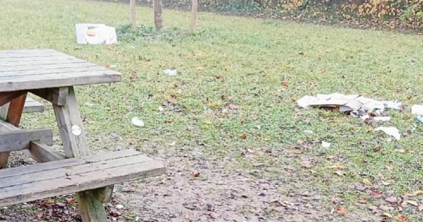 Parco Sassoli, luci e telecamere