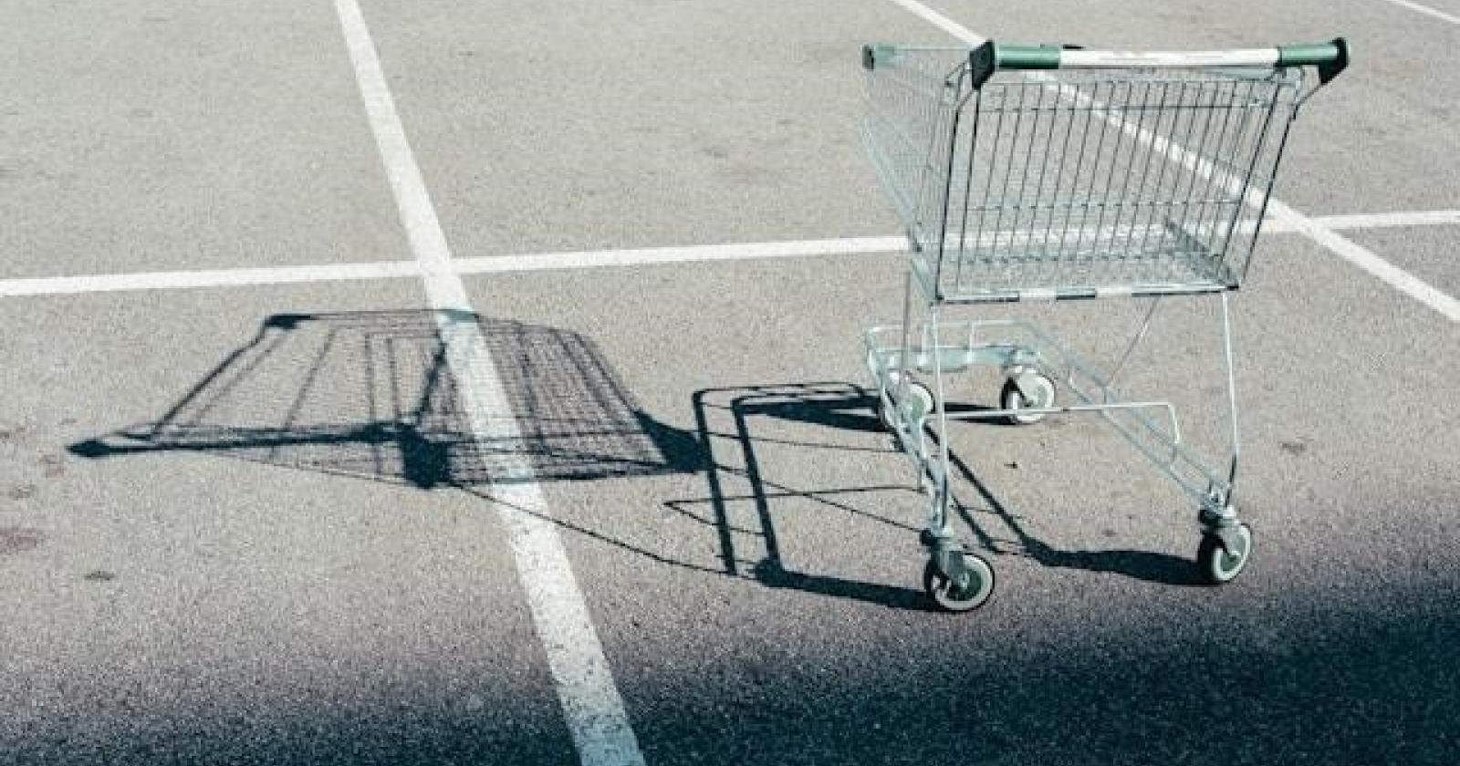 Spesa e carovita nel Polesine: la guida pratica per risparmiare nei supermercati locali