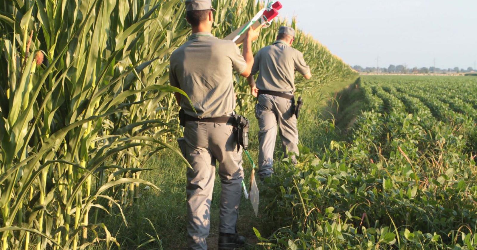 Tiene il cortile di casa come una discarica, il Comune impone lo sgombero