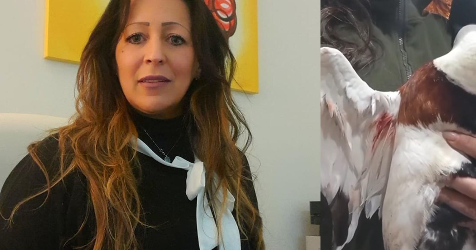 "Specie protette uccise a fucilate, ora basta"