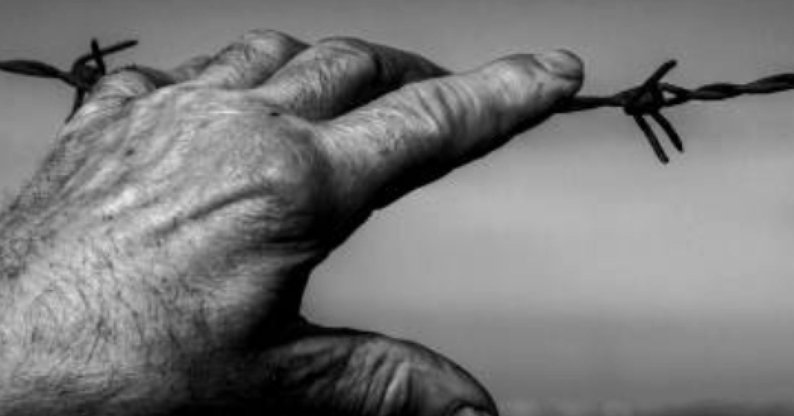 Giornata della Memoria: 40 libri per bambini e ragazzi