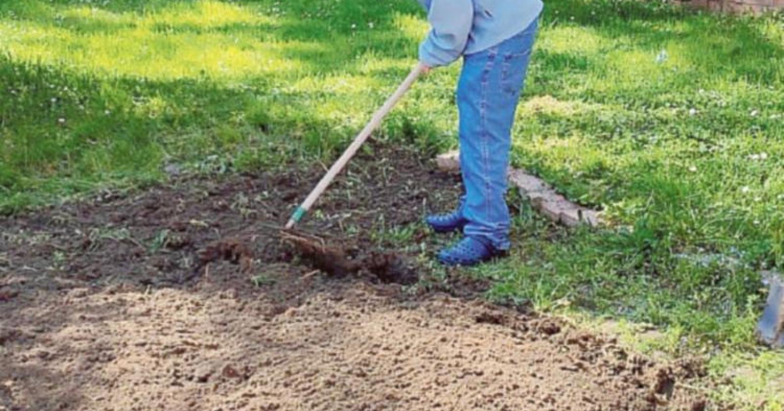 Nuovi gestori per gli &ldquo;orti&rdquo;, il Comune attiva la ricerca