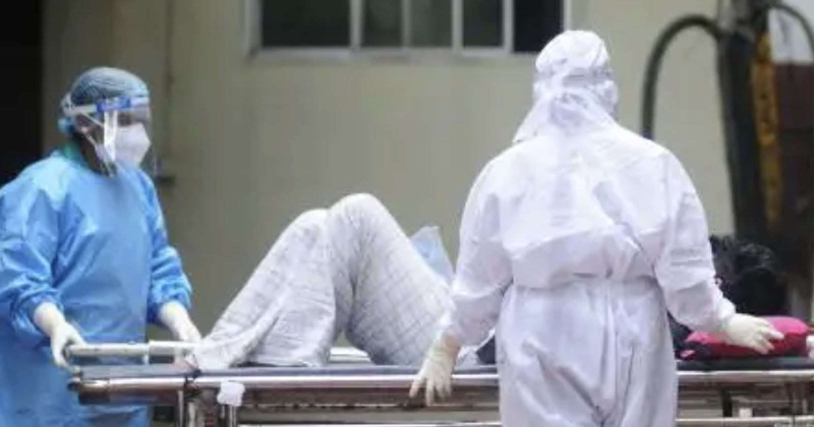 Virus Nipah, nuovi casi in India