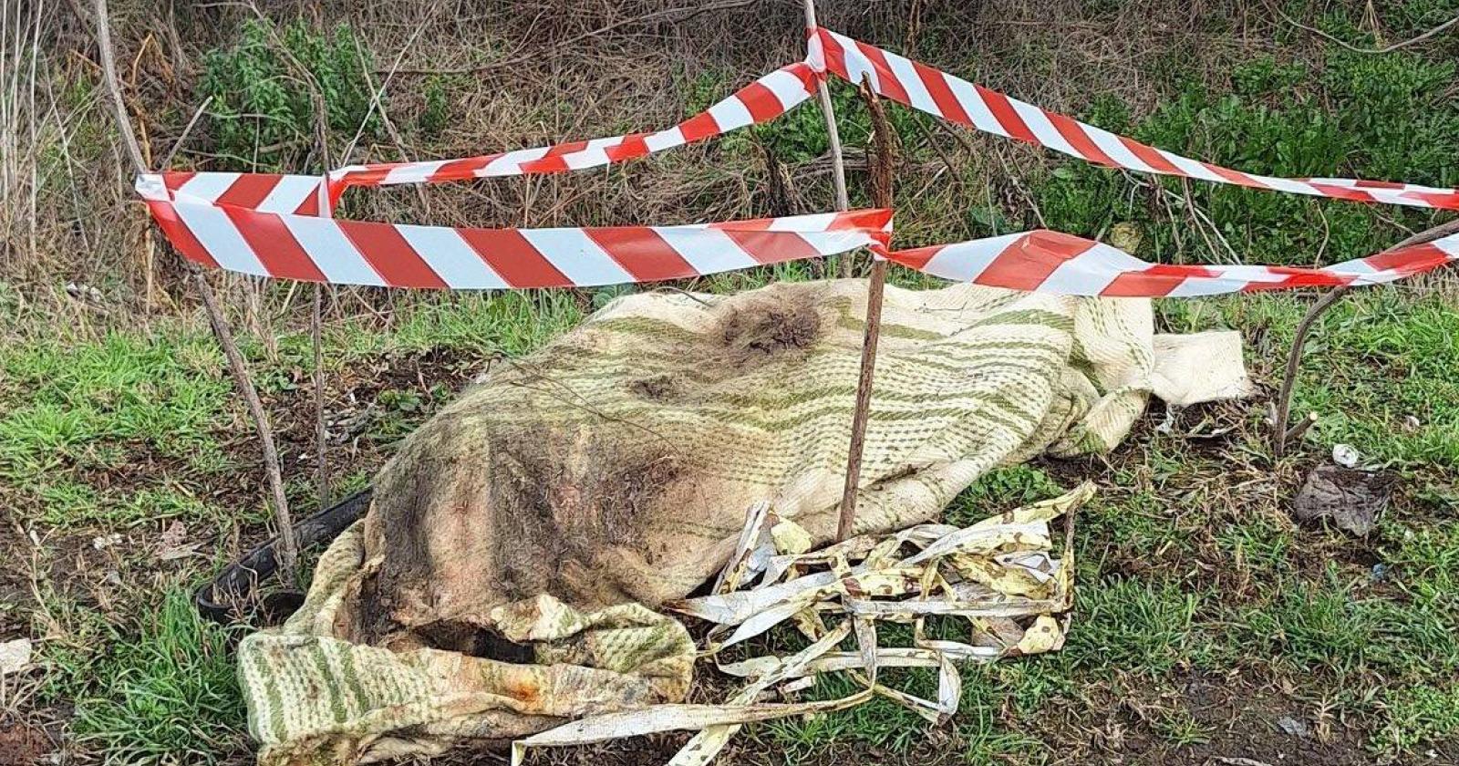 Macabro ritrovamento durante la pulizia dei fossi