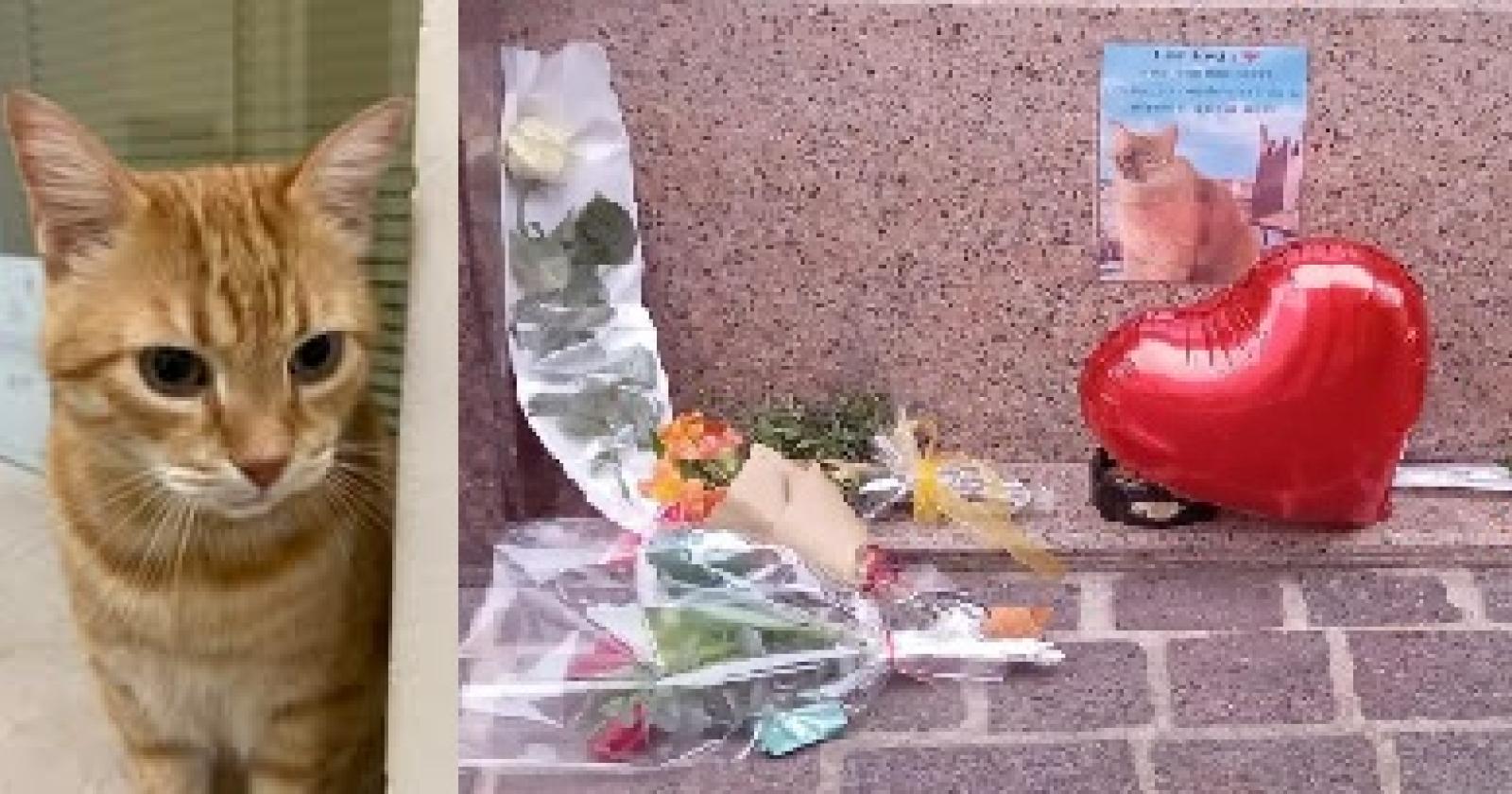 Lacrime e peluche per Rossini: &ldquo;Ci mancher&agrave; tanto&rdquo;