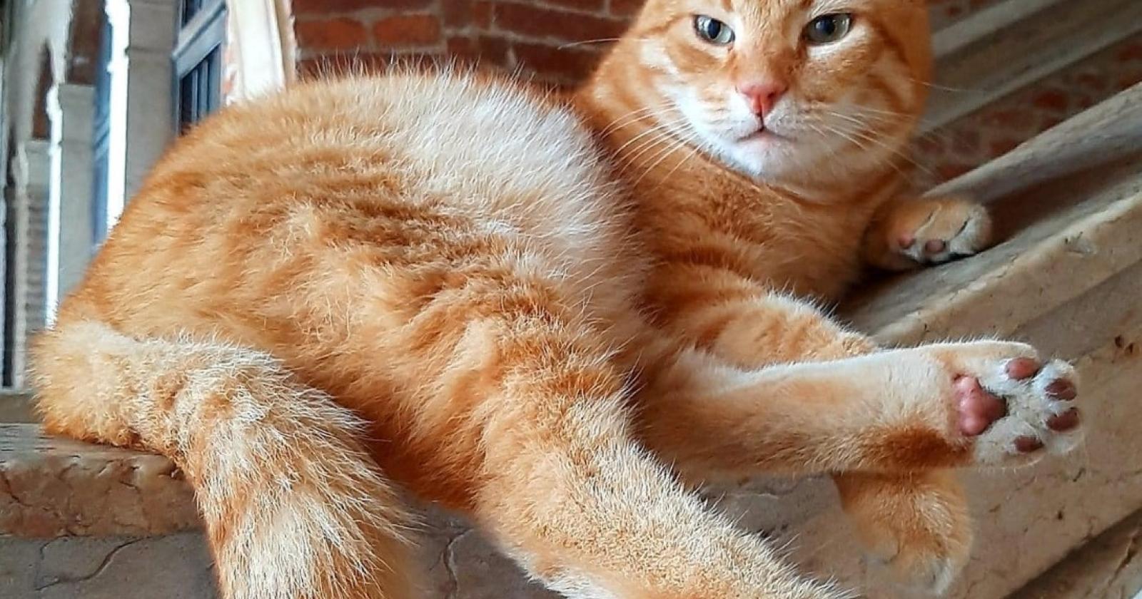 Addio Rossini, &ldquo;eri il simbolo della citt&agrave;&rdquo;