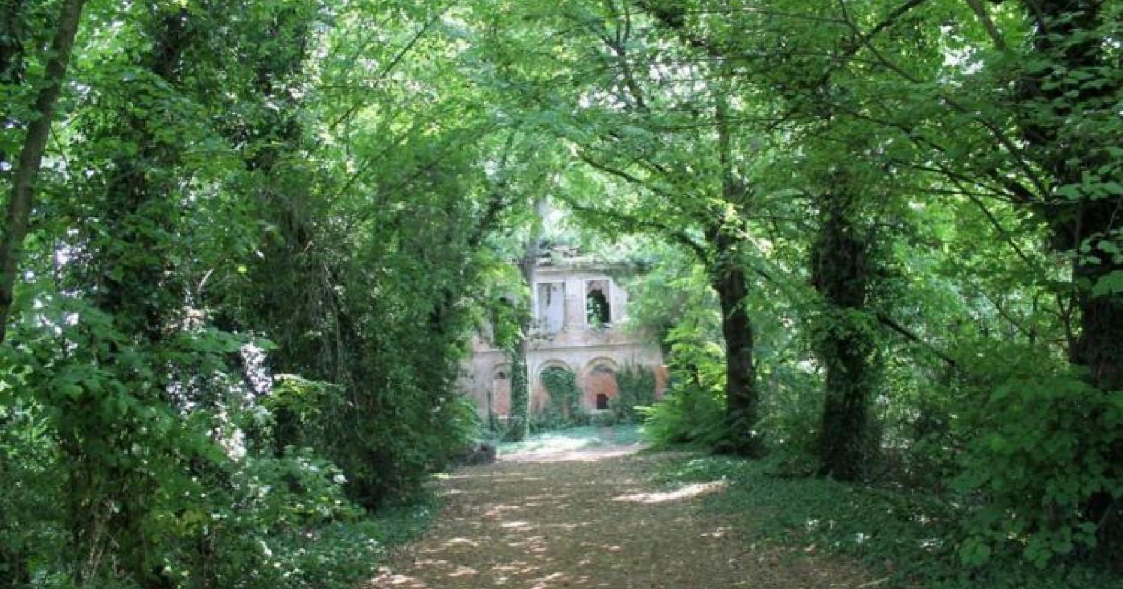 Piombo e idrocarburi nel bosco