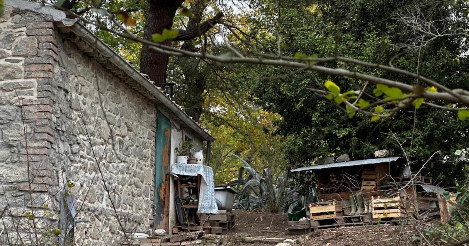 Famiglia nel bosco: i bambini separati dalla madre