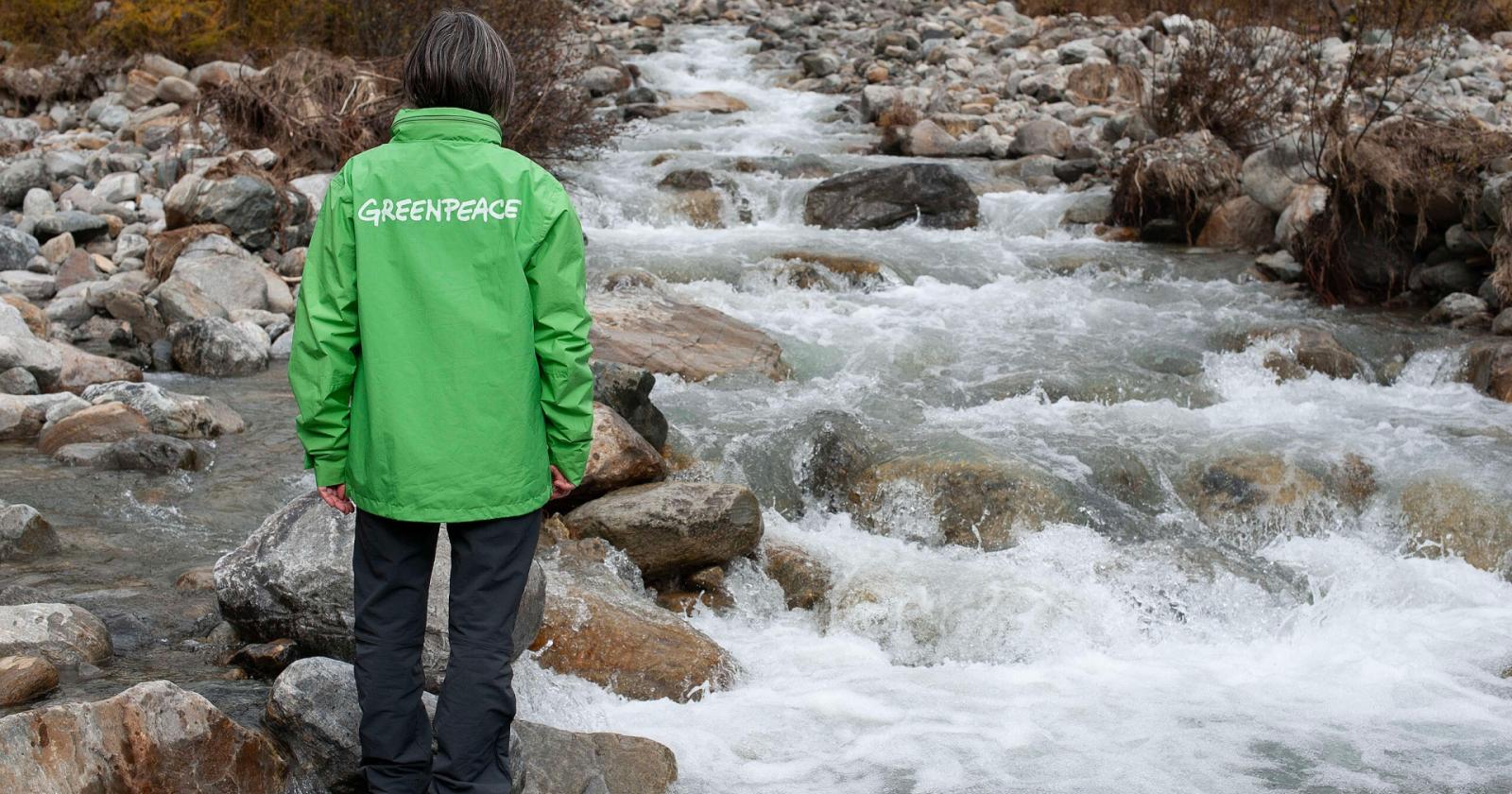 Greenpeace condannata a pagare 345 milioni di dollari