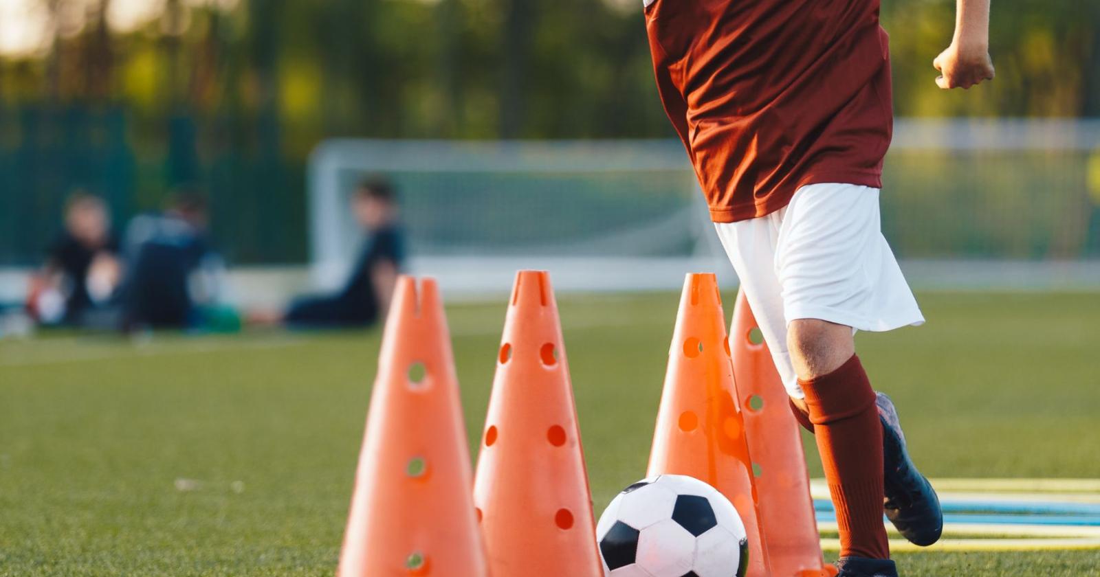 Insulti razzisti e ululati