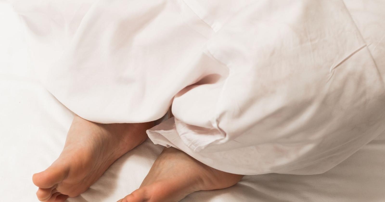 Acari, invisibili ma paericolosi