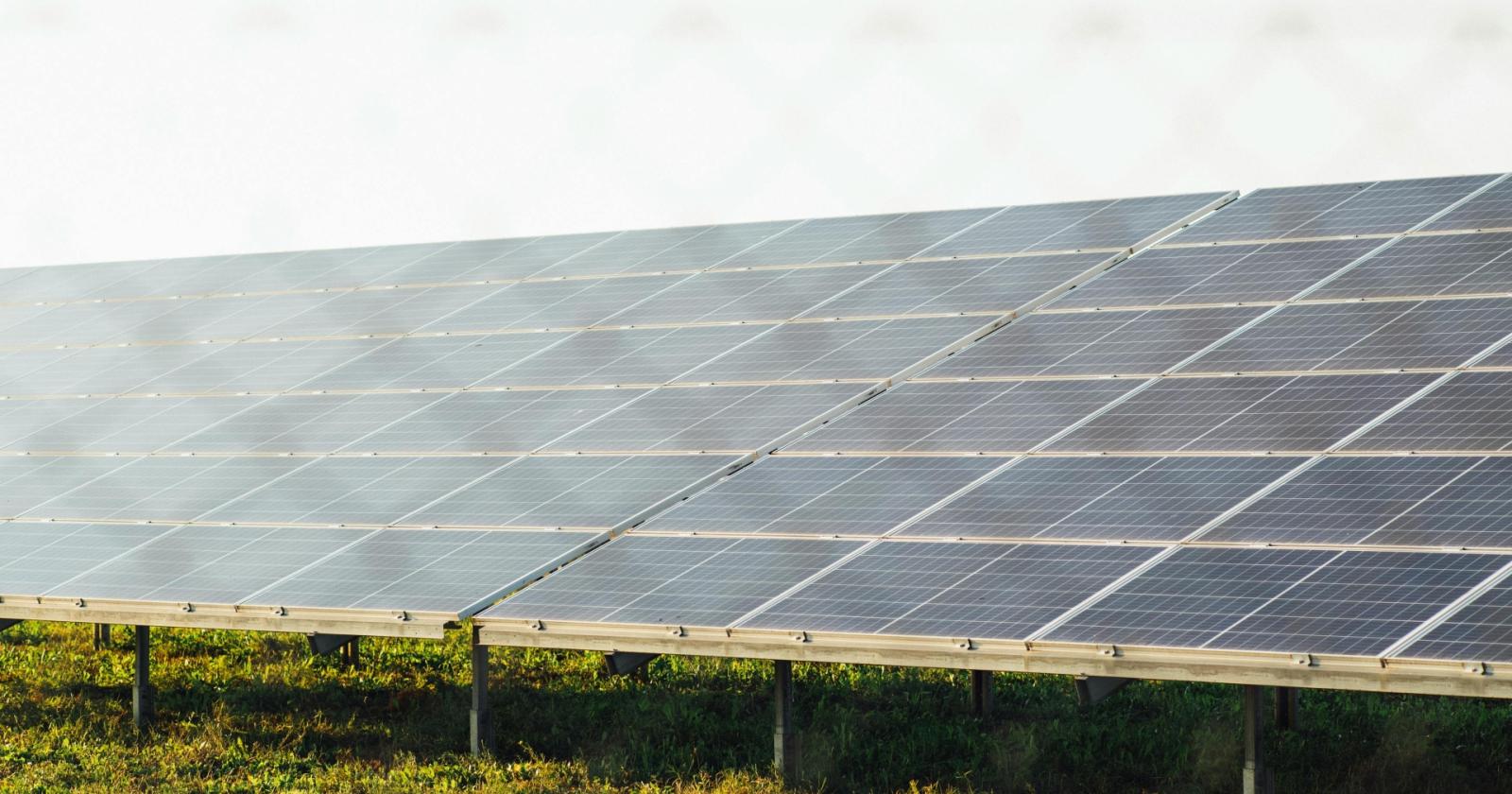 Agrivoltaico, corsa ai progetti in Veneto