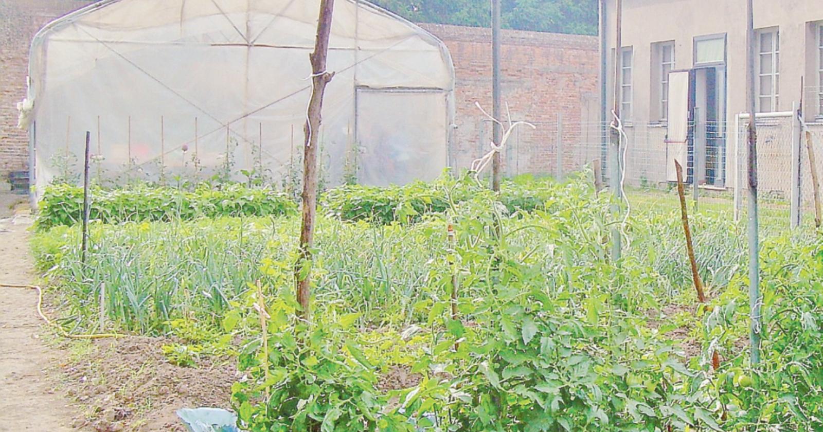 Orti urbani, chi vuole si faccia avanti