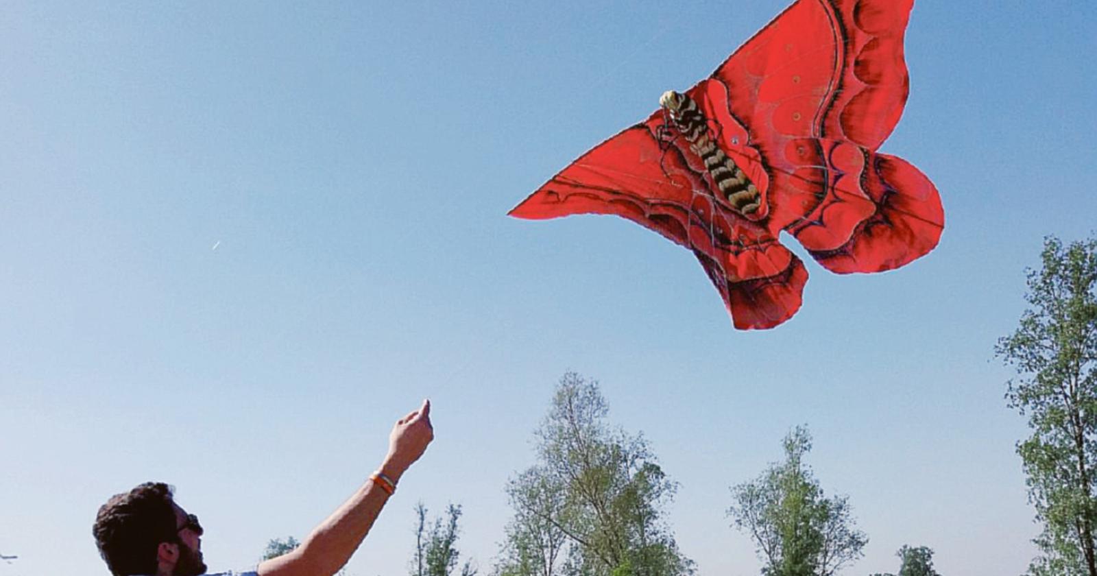 Grande successo per la Festa degli aquiloni