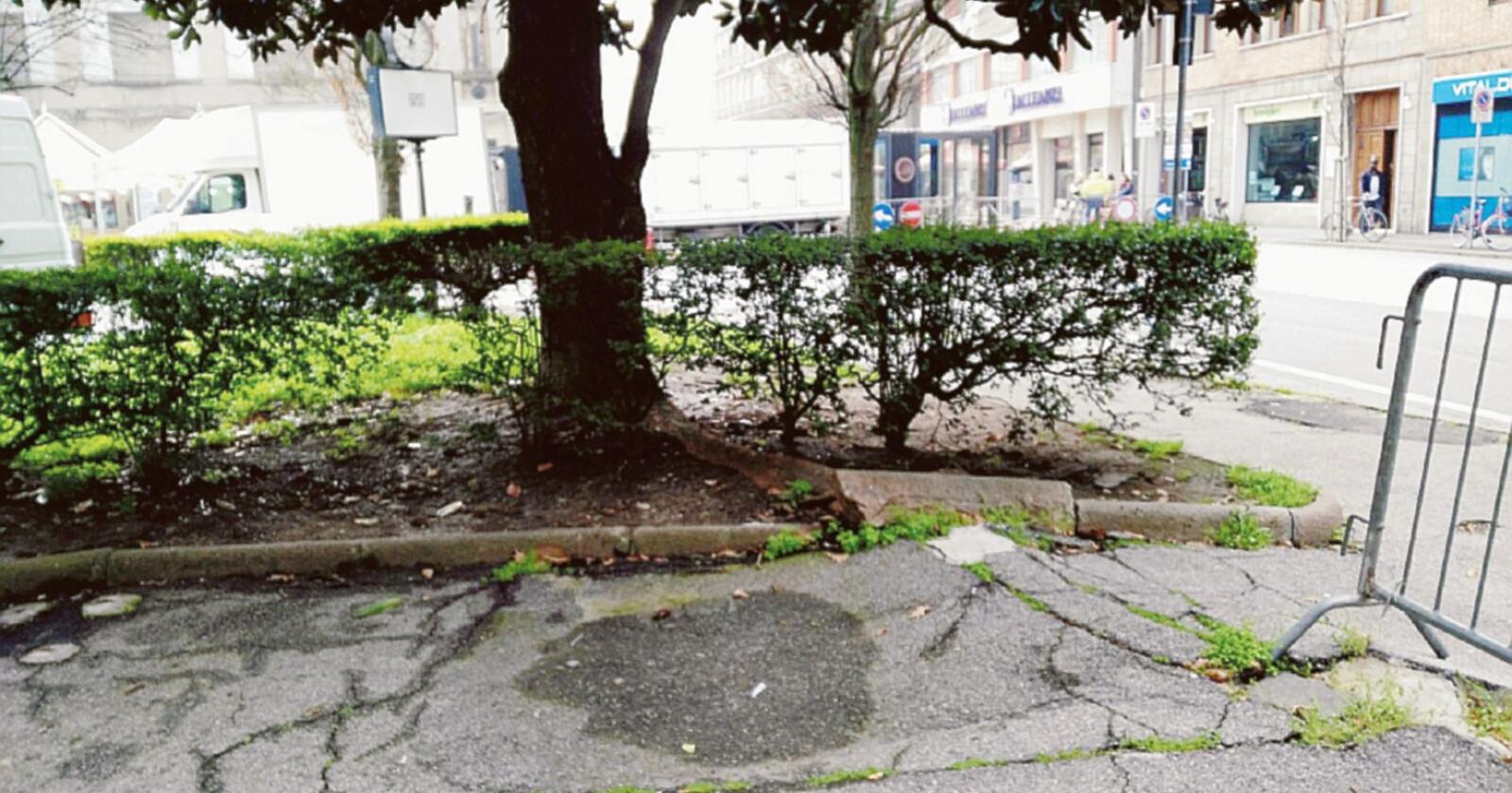 “Asfaltate e rimettete le panchine”