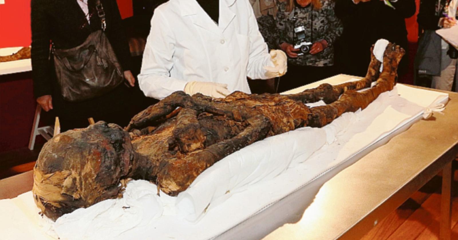 Venerdì la tac per conoscere le due mummie di Rovigo